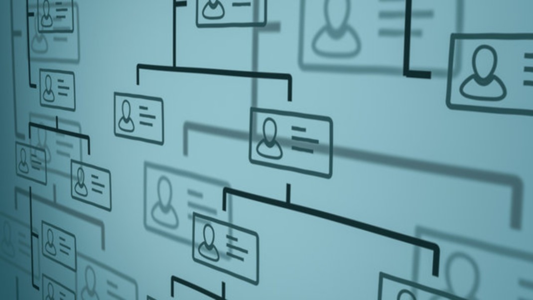 org chart